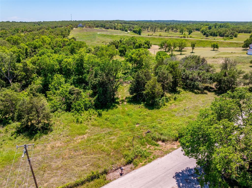 1874 County Road Springtown, TX 76082 - Photo 6 of 24 a view of a garden with an ocean view