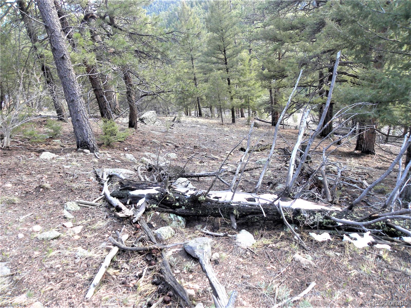 0 Elsie Road Conifer, CO 80433 - Photo 11 of 21 Gallery Image 11