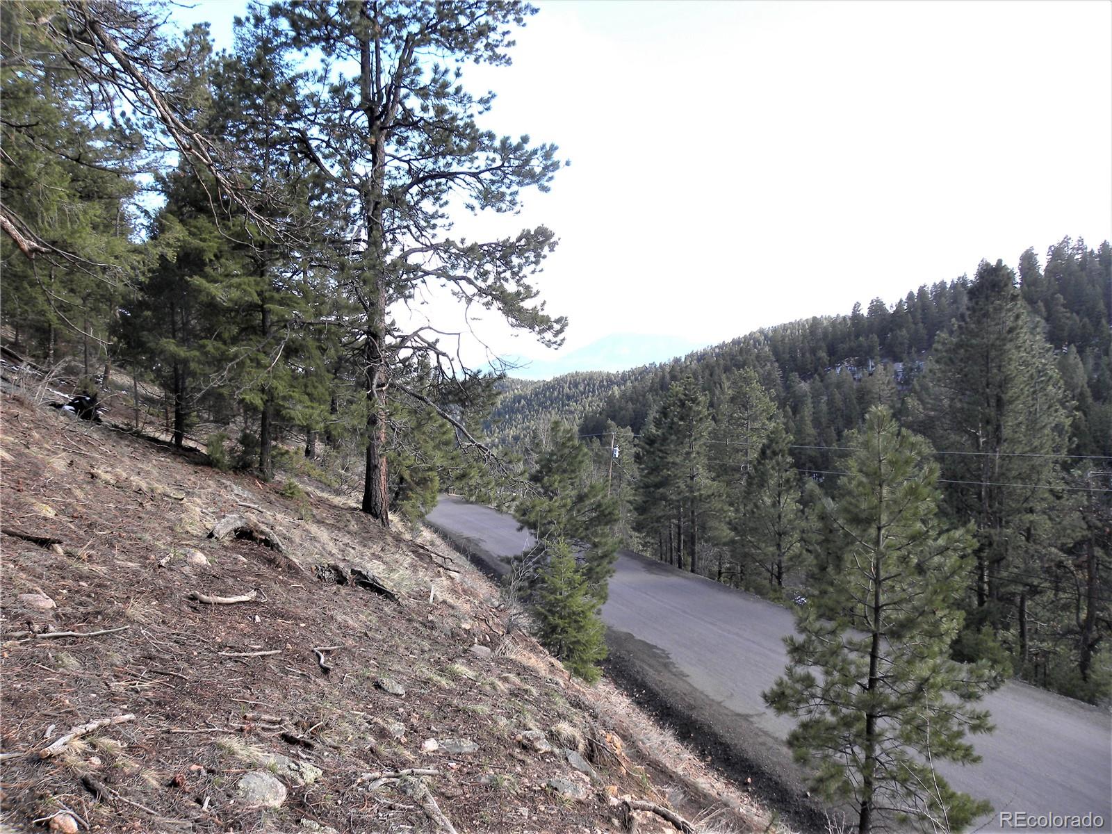 0 Elsie Road Conifer, CO 80433 - Photo 5 of 21 Gallery Image 5