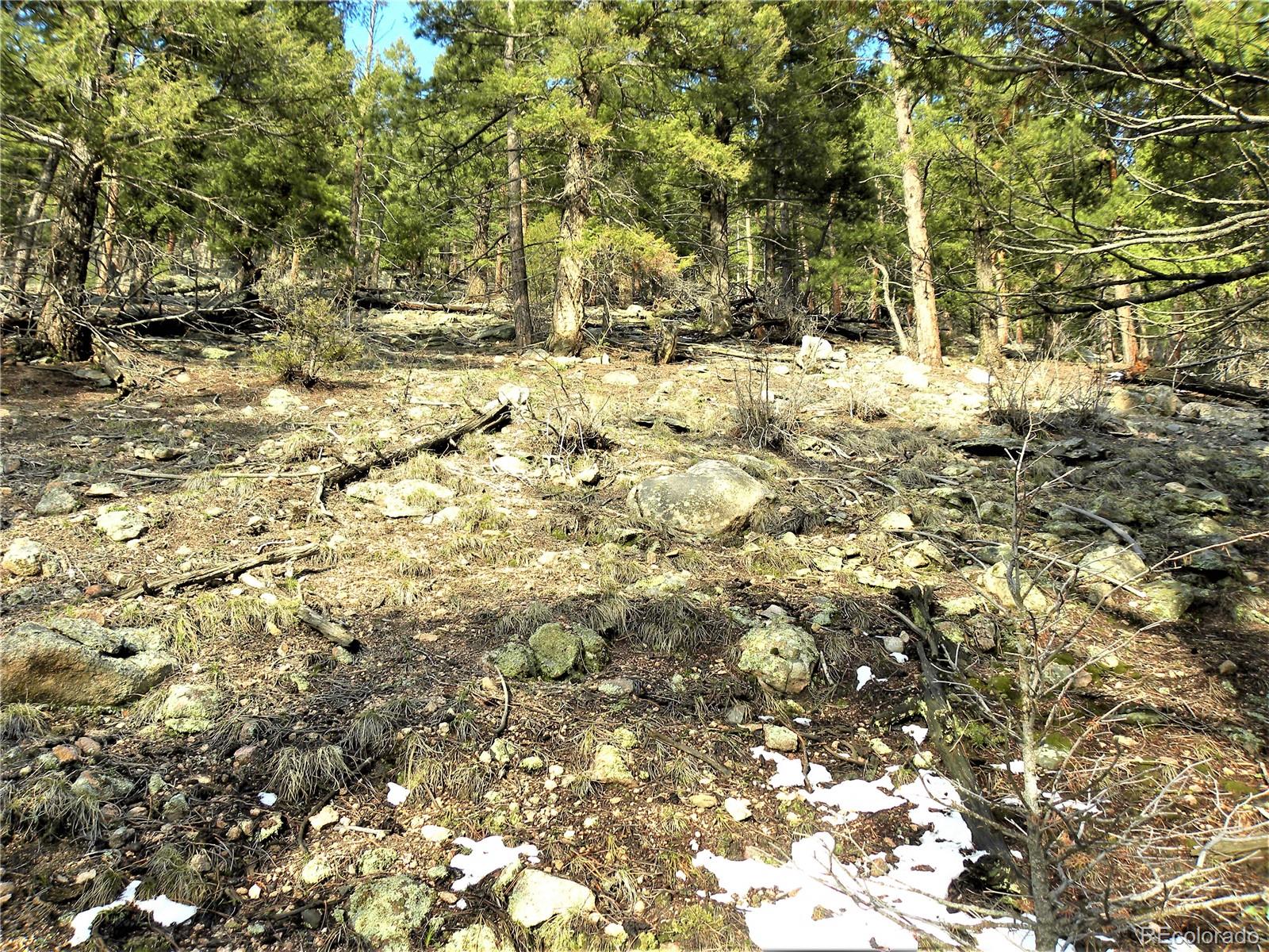 0 Elsie Road Conifer, CO 80433 - Photo 8 of 21 Gallery Image 8