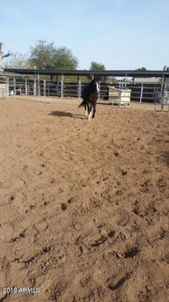 850 East Roberts Road Phoenix, AZ 85022 - Photo 21 of 22 New Sand in Arena
