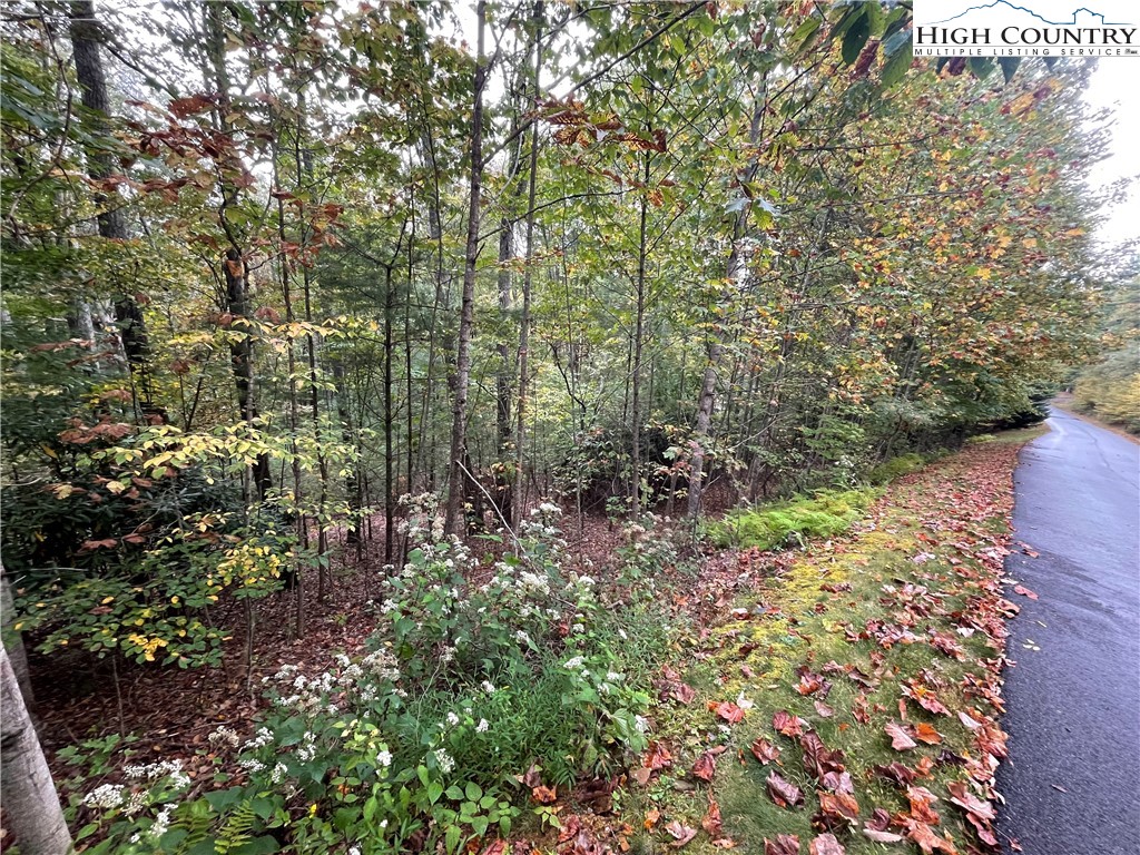 Lot#33 Woodland Ridge Lansing, NC 28643 - Photo 3 of 6 a view of a forest with trees