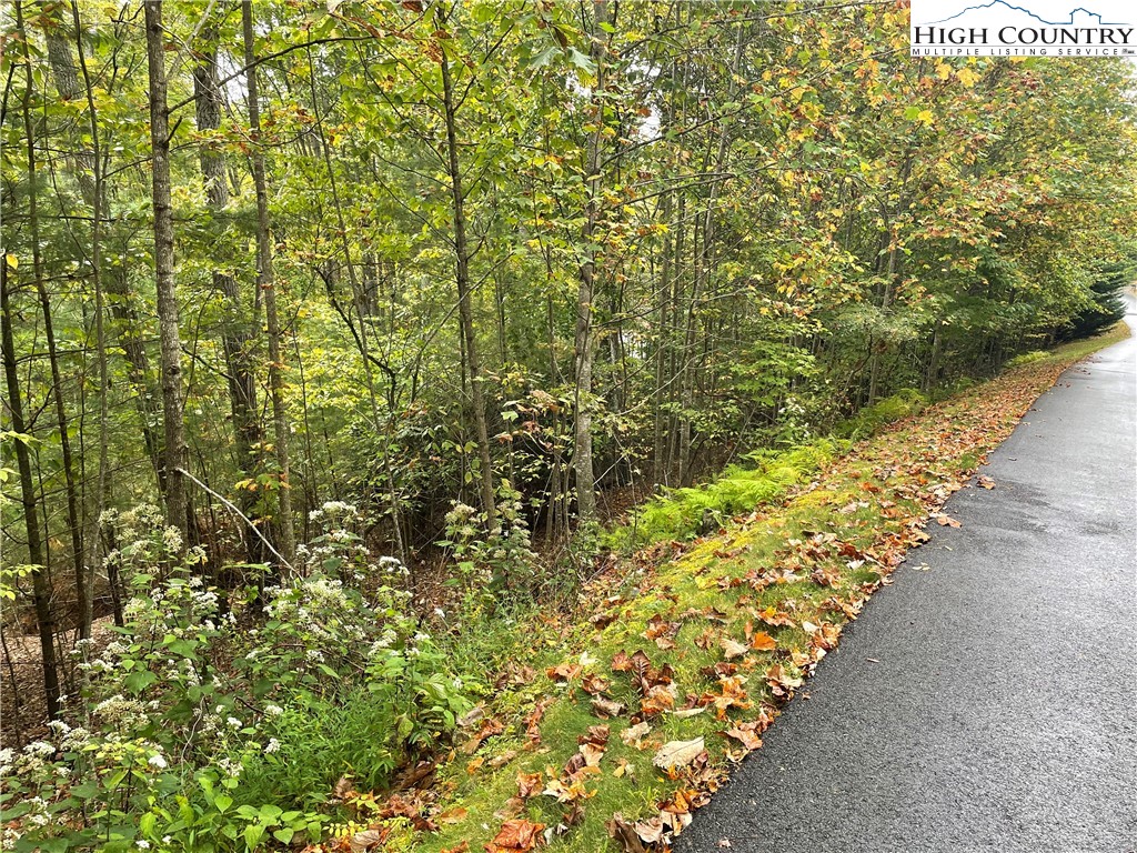 Lot#33 Woodland Ridge Lansing, NC 28643 - Photo 5 of 6 a view of a garden