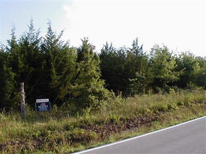 0 West Farm Road 18 Walnut Grove, MO 65770 - Photo 1 of 1 Primary Photo