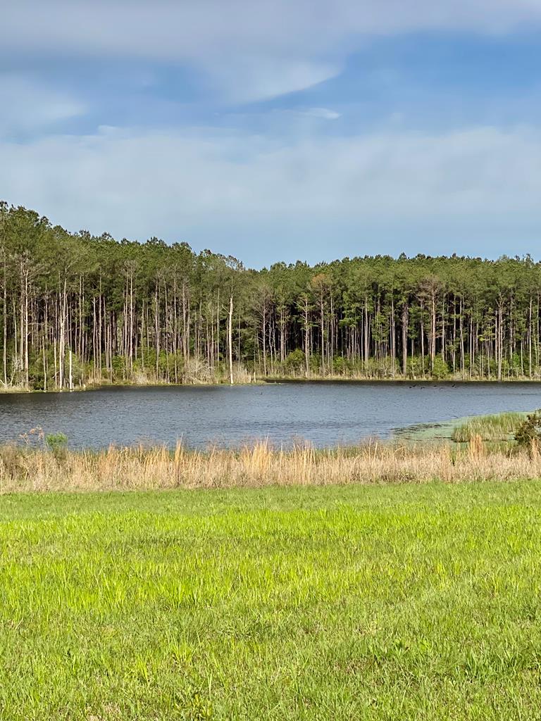 0 Lot Road Poplarville, MS 39470 - Photo 1 of 1 Gallery Image 1