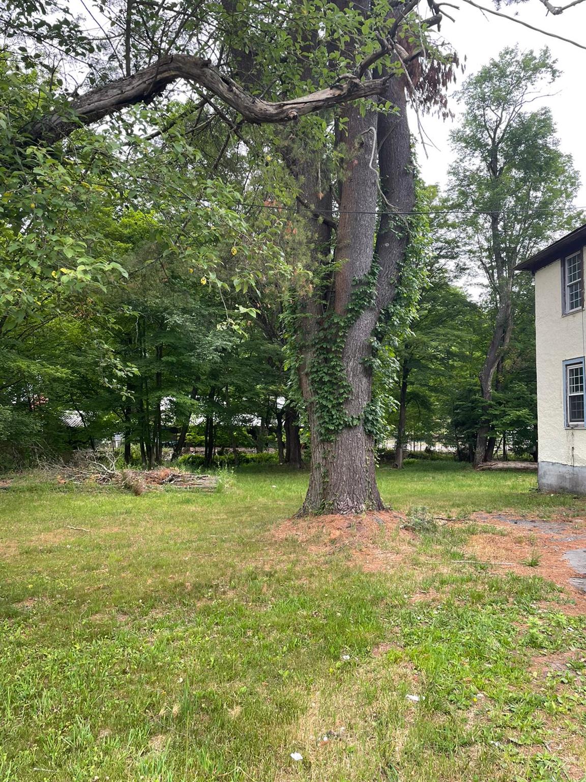 4710 State Rte 55 Bethel, NY 12783 - Photo 2 of 30 View of yard