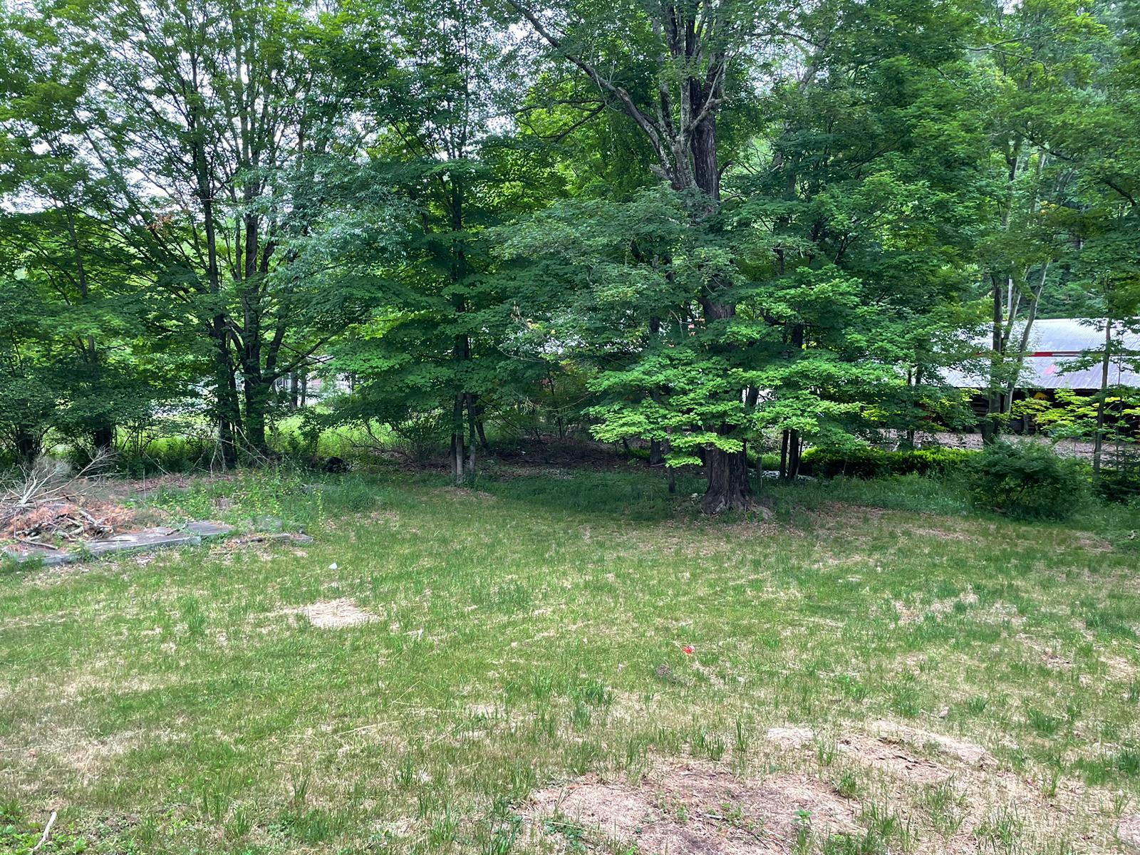 4710 State Rte 55 Bethel, NY 12783 - Photo 27 of 30 View of yard