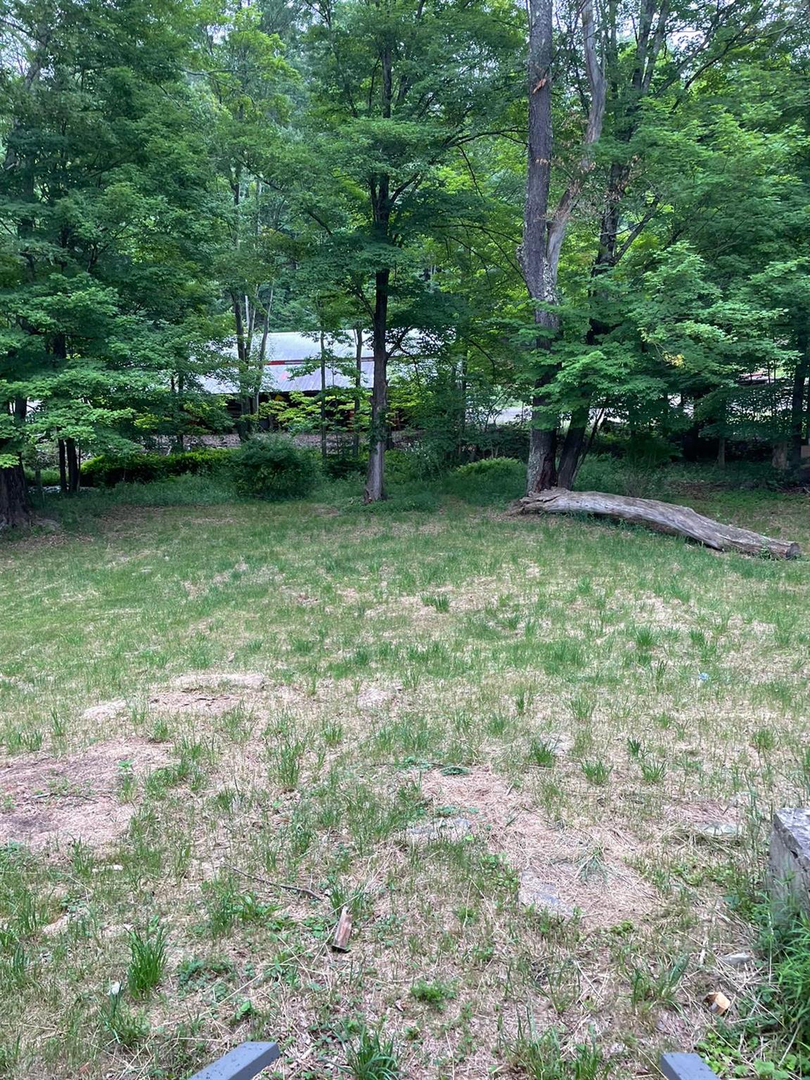 4710 State Rte 55 Bethel, NY 12783 - Photo 30 of 30 View of yard