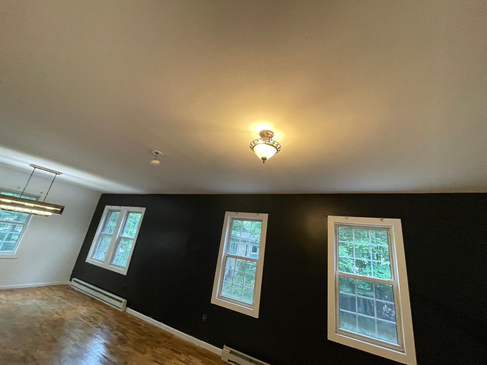 4710 State Rte 55 Bethel, NY 12783 - Photo 9 of 30 Unfurnished room with wood-type flooring, vaulted ceiling, a wealth of natural light, and a baseboard heating unit