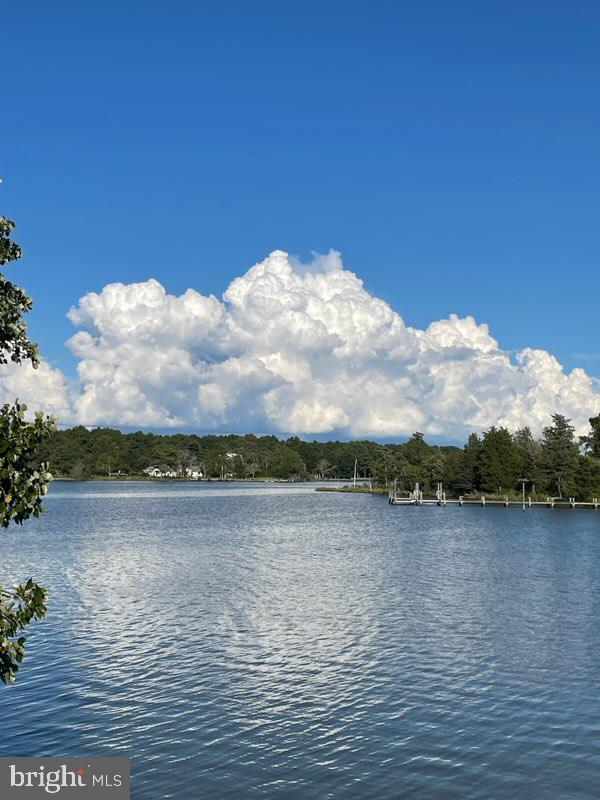 4711 Steamboat Road Woolford, MD 21677 - Photo 58 of 63 Gorgeous Blue Skies