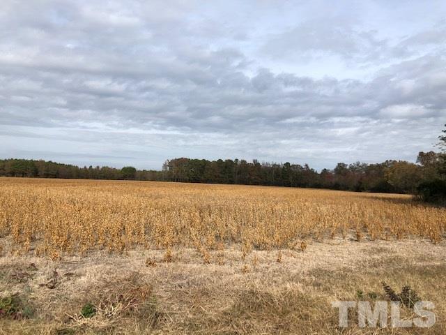 55 Simmons Road Kenly, NC 27542 - Photo 1 of 5 Gallery Image 1
