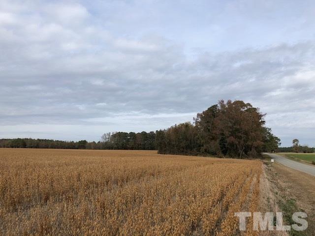 55 Simmons Road Kenly, NC 27542 - Photo 2 of 5 Gallery Image 2