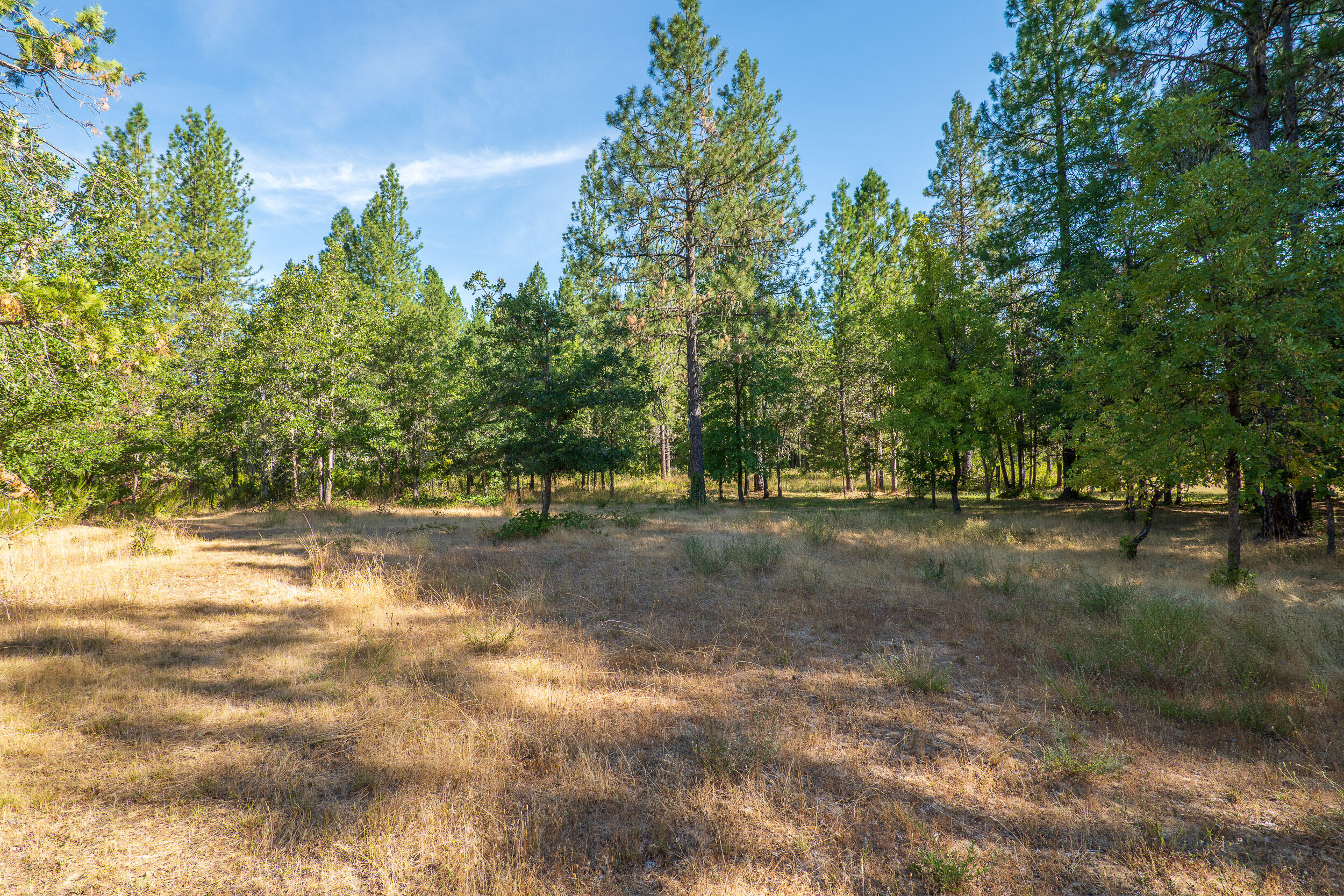 190 Martin Road Cave Junction, OR 97523 - Photo 34 of 43 Land
