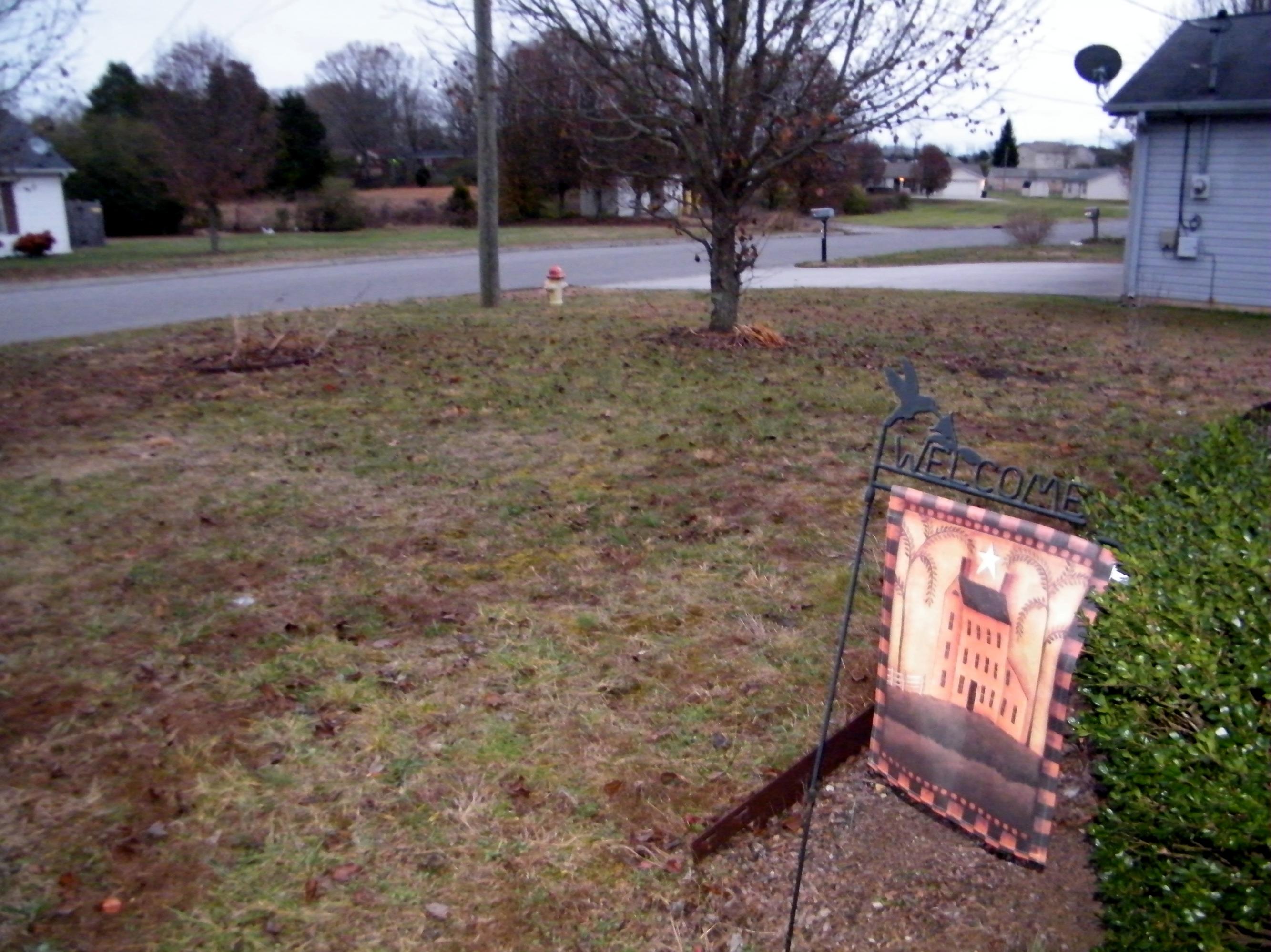 FrontYardView