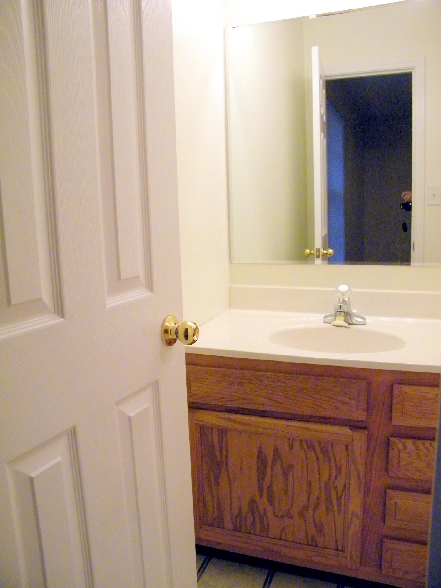 7534 Wheatmeadow Road Corryton, TN 37721 - Photo 8 of 39 MasterBAVanity