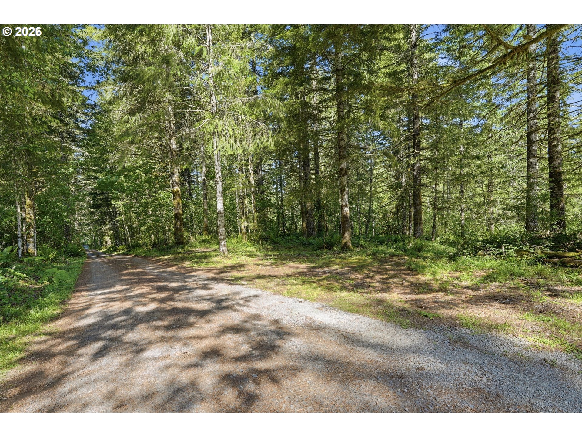 22515 Northeast Dole Valley Road Yacolt, WA 98675 - Photo 43 of 47