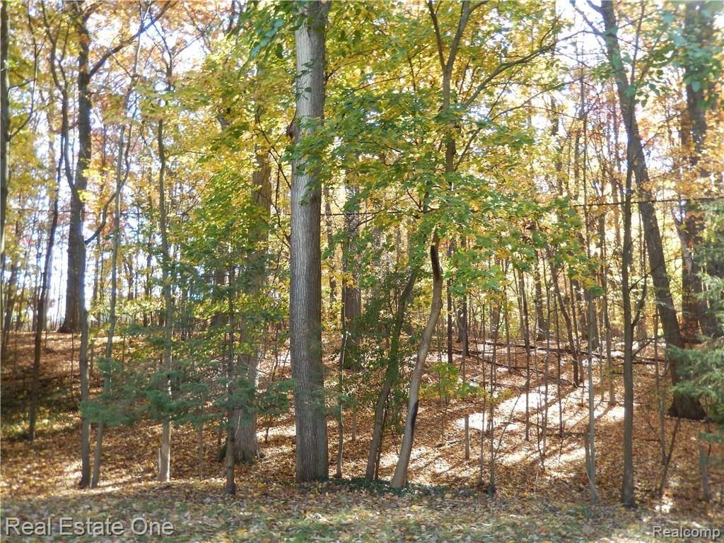 4385 Highfield Road Waterford, MI 48329 - Photo 33 of 35 backyard 1.JPG