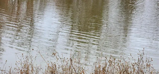 $675,000 | 15524 Cr 615 Birch Tree Mo 65438, Birch Tree, MO 65438