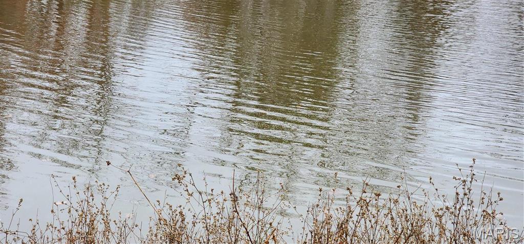 15524 Cr 615 Birch Tree Mo 65438 Birch Tree, MO 65438 - Photo 15 of 28