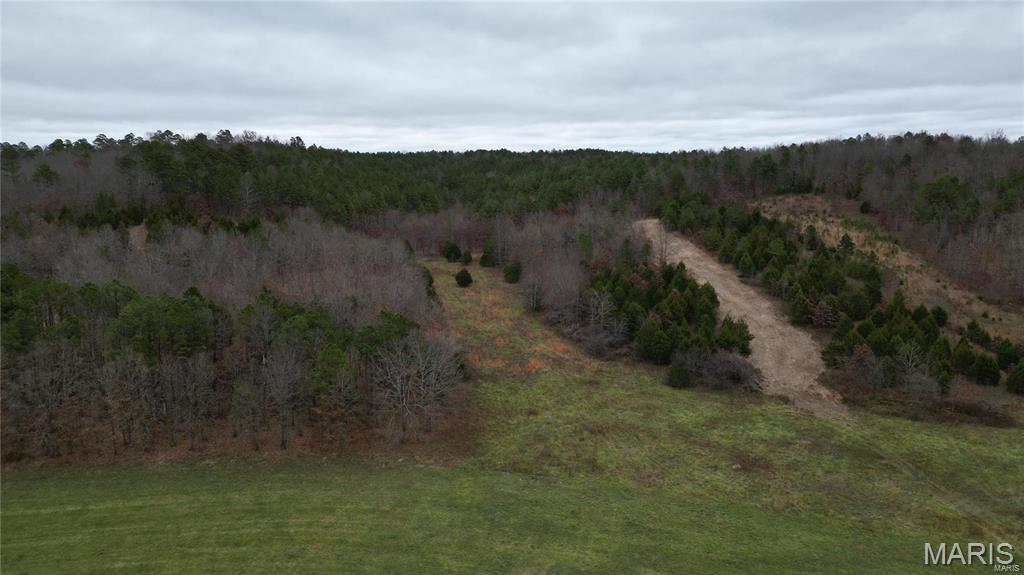 15524 Cr 615 Birch Tree Mo 65438 Birch Tree, MO 65438 - Photo 19 of 28