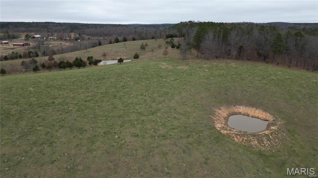 15524 Cr 615 Birch Tree Mo 65438 Birch Tree, MO 65438 - Photo 21 of 28