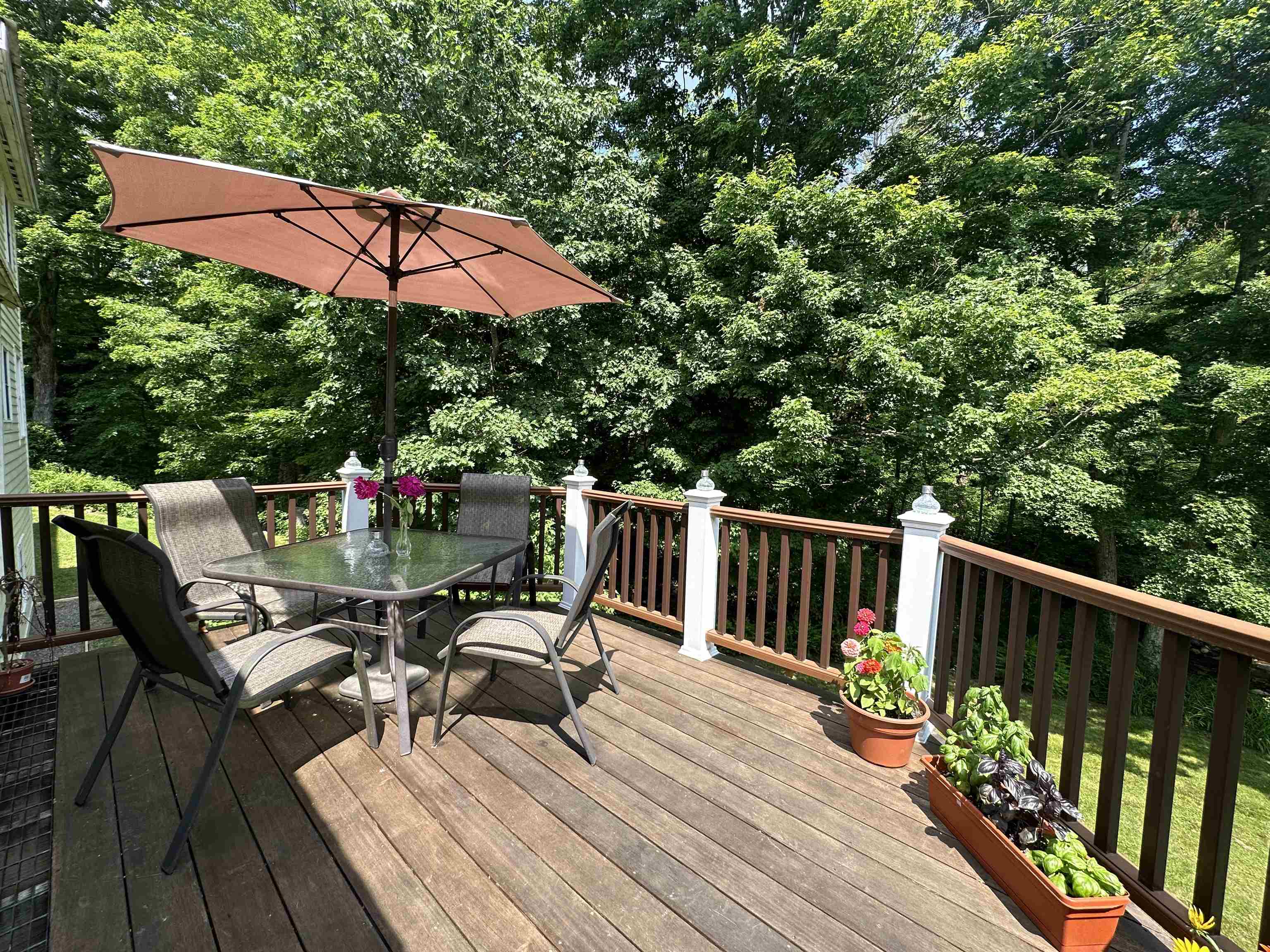 456 Grafton Road Townshend, VT 05353 - Photo 4 of 40