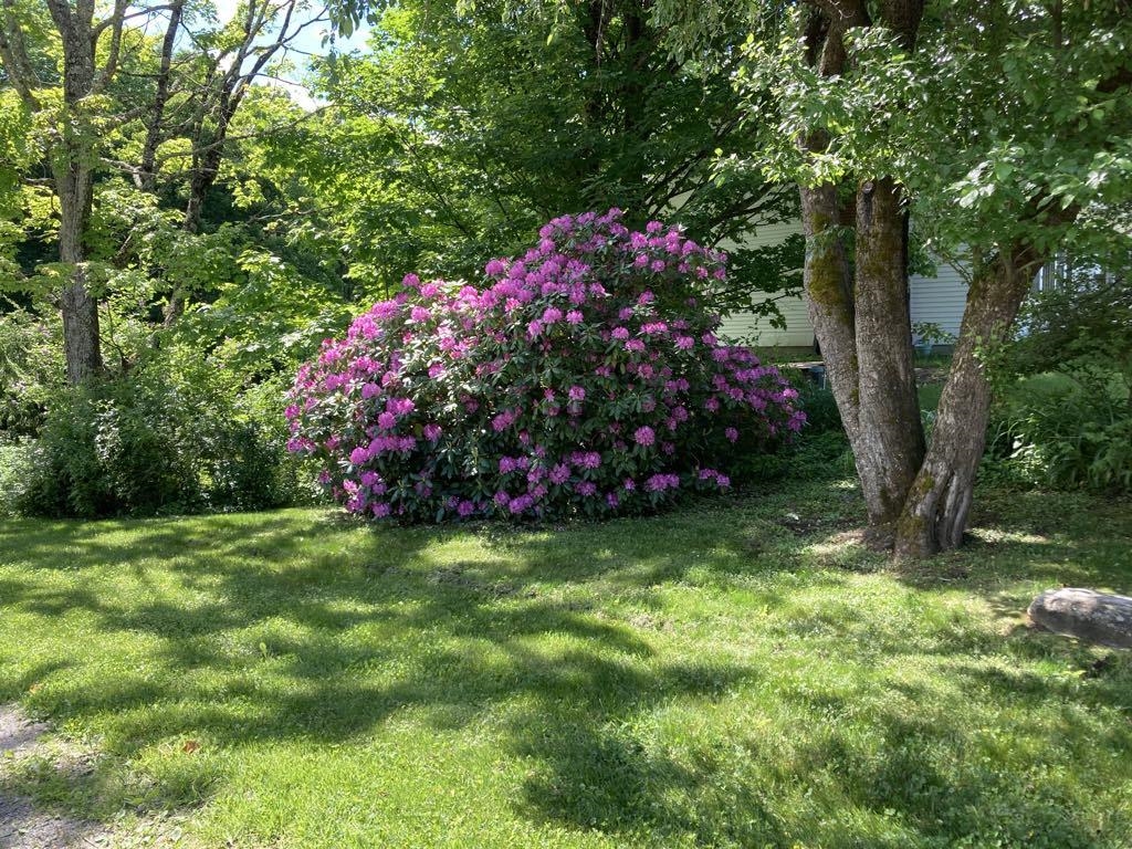 456 Grafton Road Townshend, VT 05353 - Photo 10 of 40