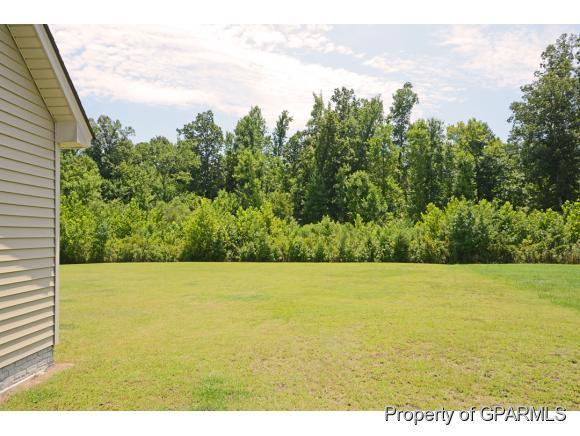 430 Denali Road Winterville, NC 28590 - Photo 35 of 36 Additional Photo