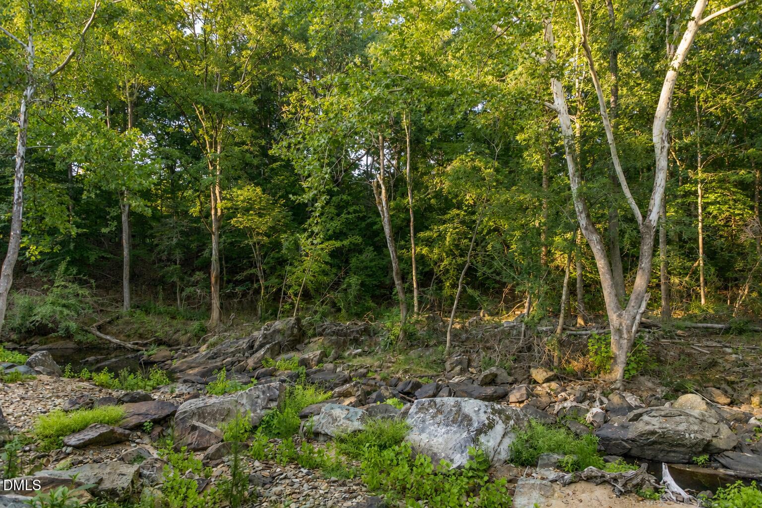 180 Hobbs Road Pittsboro, NC 27312 - Photo 74 of 76 Creek View 16