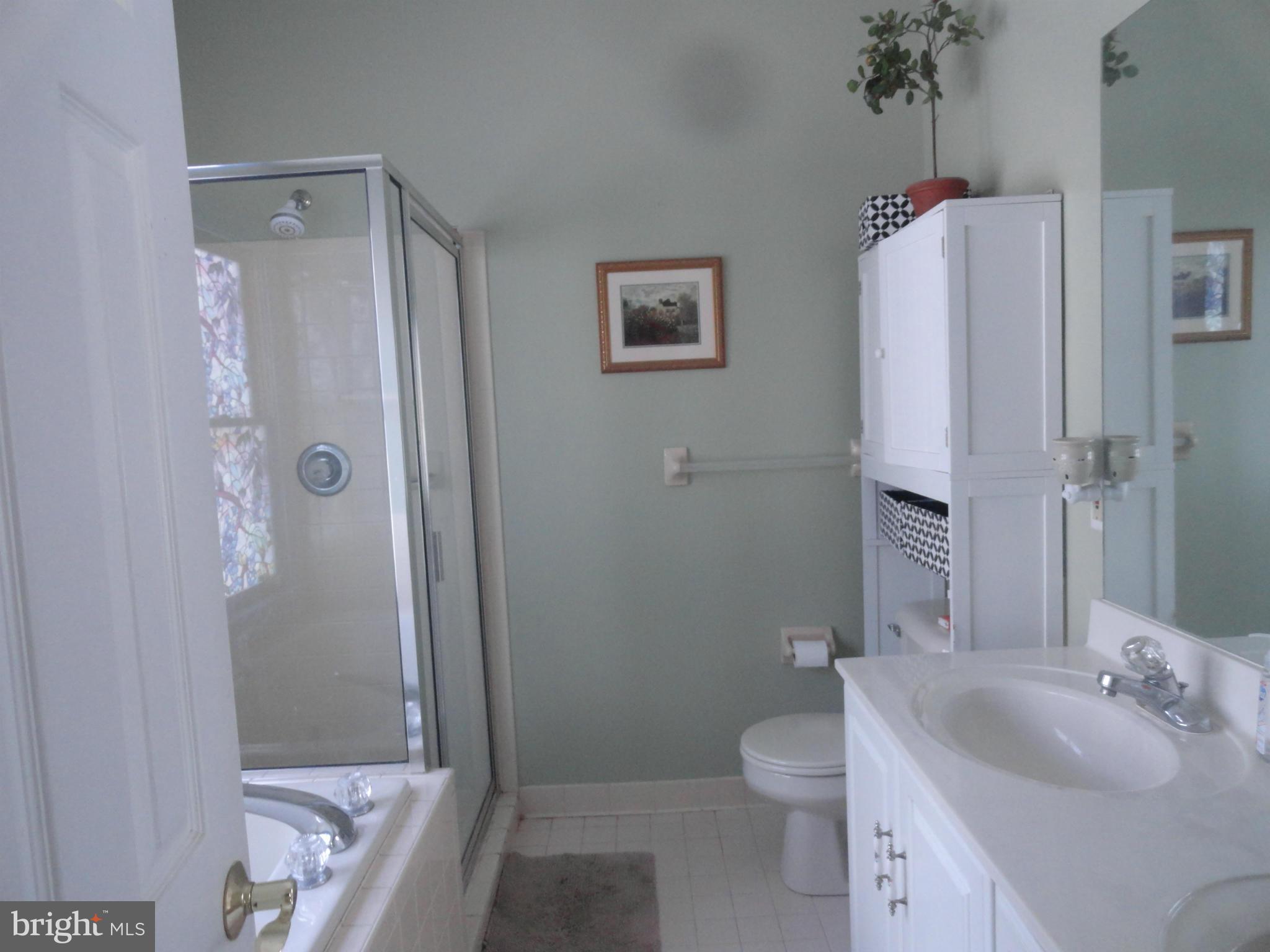 1032 Ridgemere Lane Culpeper, VA 22701 - Photo 24 of 30 Bath (Master)