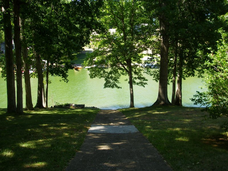 2755 Northridge Road Hardy, VA 24101 - Photo 8 of 22 Your Own Concrete Boat Ramp!