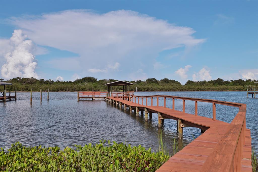 2437 Swordfish Lane Edgewater, FL 32141 - Photo 4 of 40