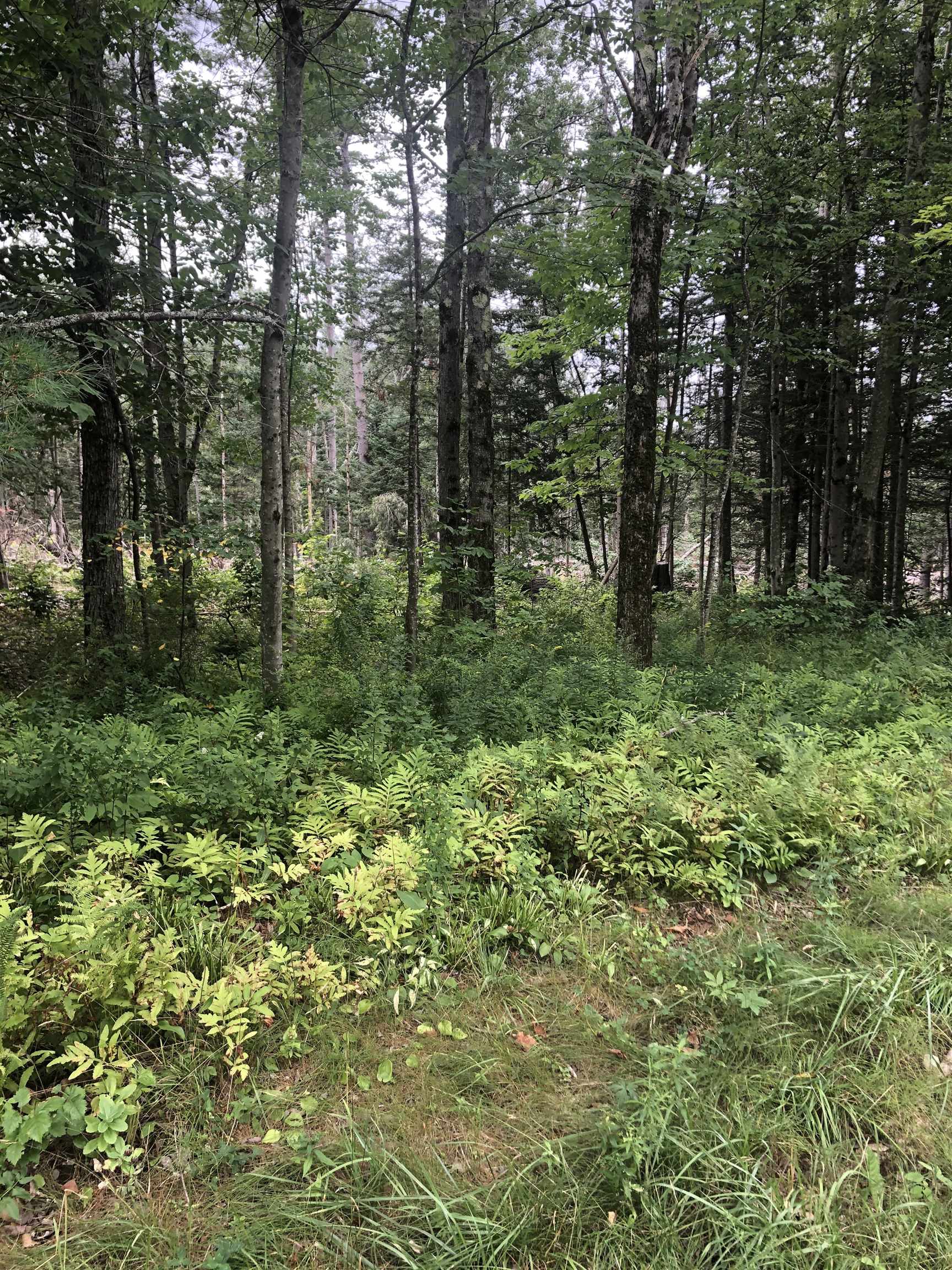 119 Kentfield Road Whitingham, VT 05361 - Photo 2 of 8