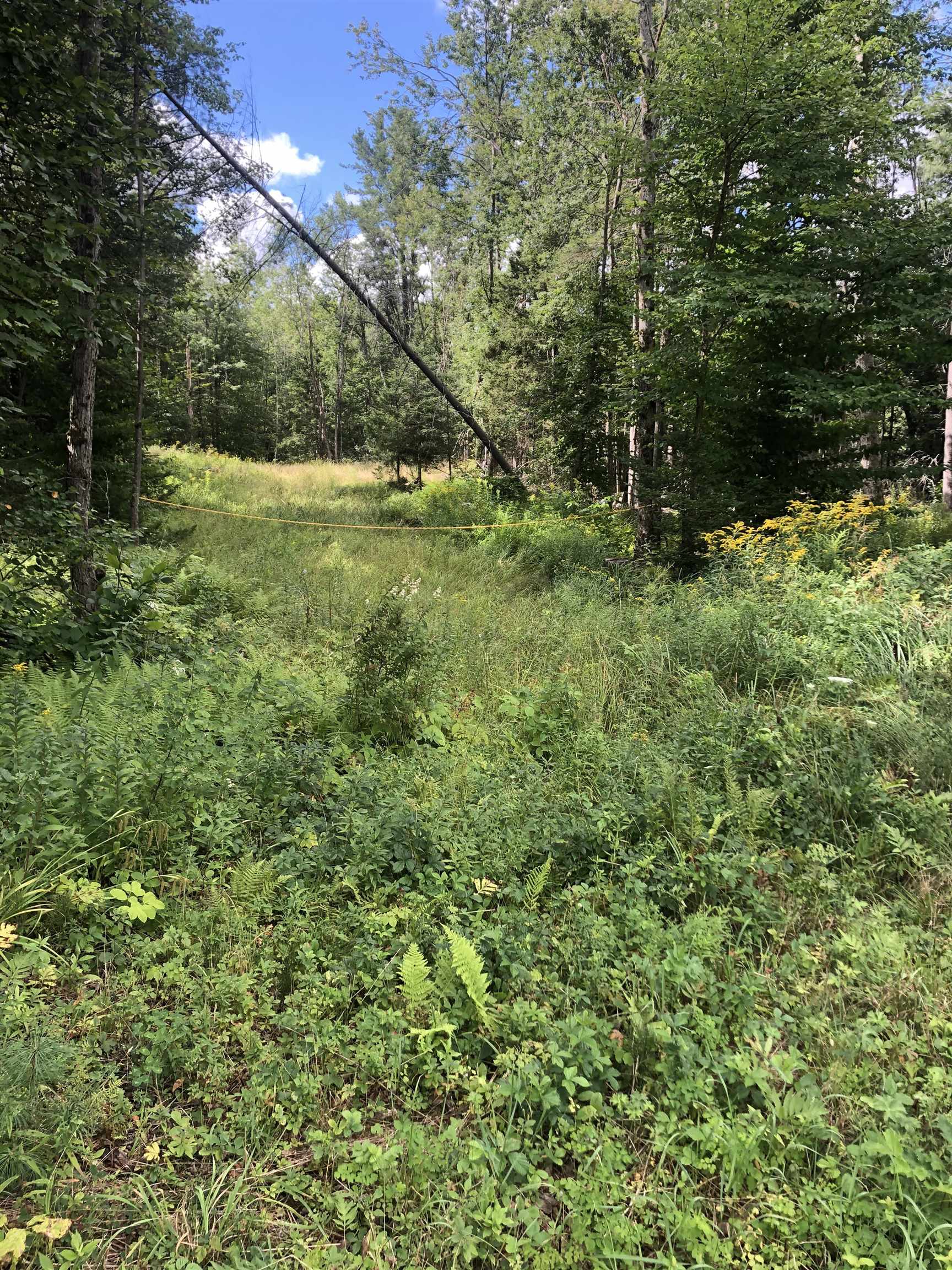 119 Kentfield Road Whitingham, VT 05361 - Photo 6 of 8