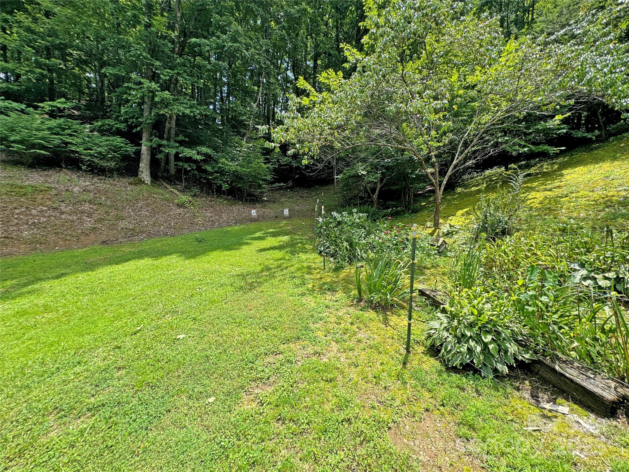 833 Sprinkle Branch Road Marshall, NC 28753 - Photo 28 of 40 Gallery Image 28