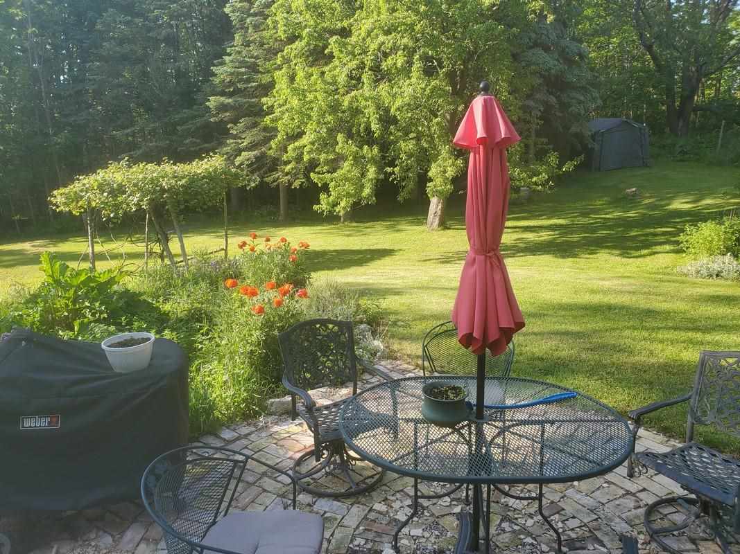 1310 Carlson Road Frankfort, MI 49635 - Photo 10 of 34 1891398-10.JPG