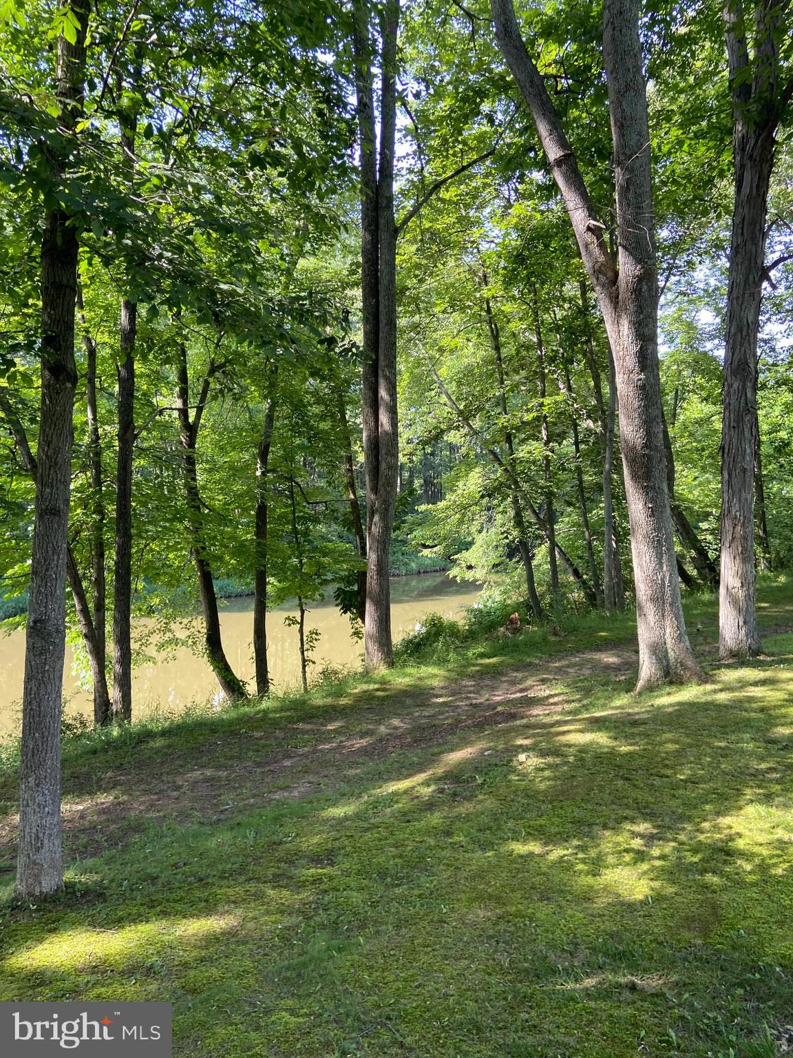 100 Bubbling Spring Road Yellow Spring, WV 26865 - Photo 13 of 26 a view of yard with trees