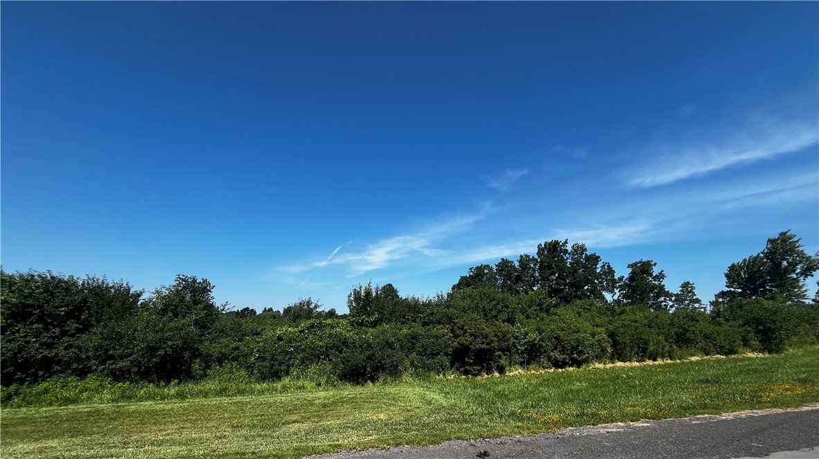 0 McIntyre Road Canandaigua, NY 14424 - Photo 1 of 3