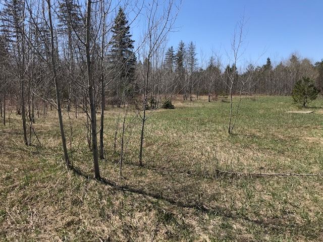 Bailey Road Bellaire, MI 49615 - Photo 11 of 15 1860552-10.JPG