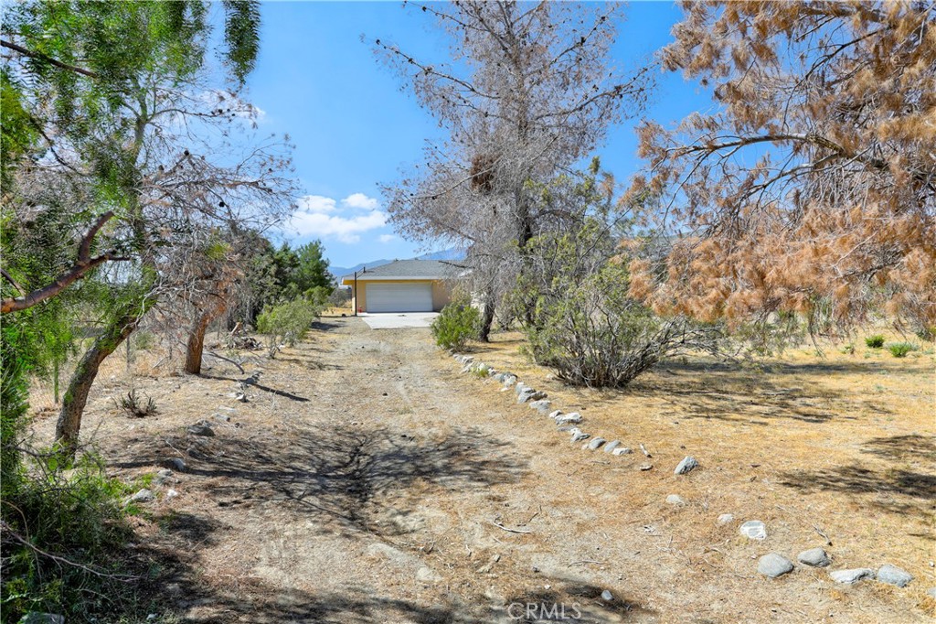 2837 Sequoia Road Pinon Hills, CA 92371 - Photo 5 of 52