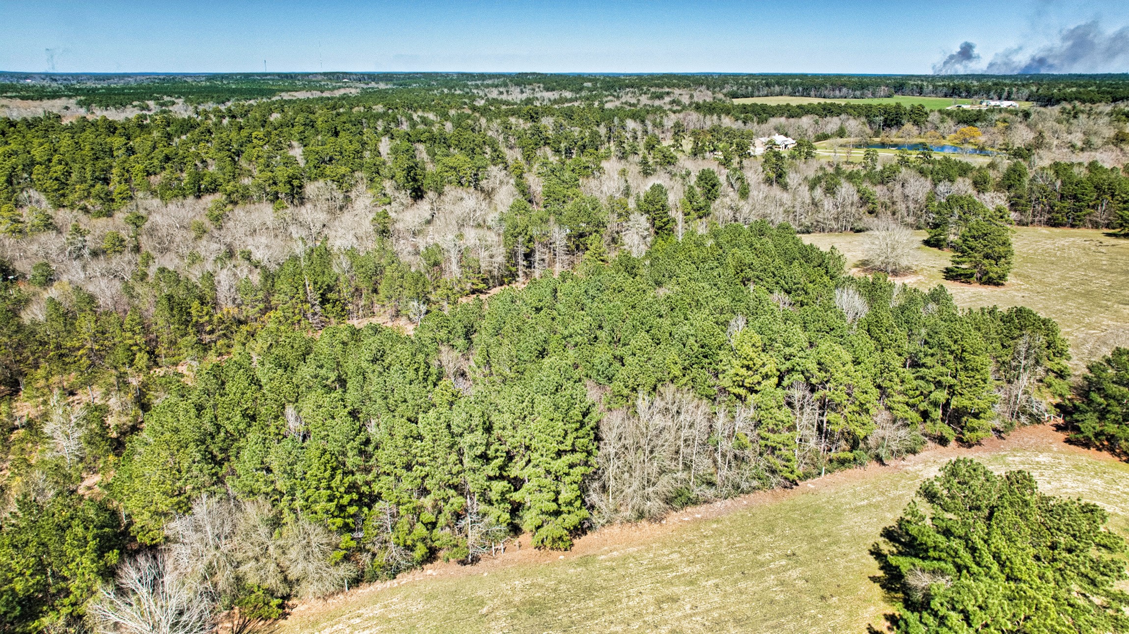 10994 Bilnoski Road Willis, TX 77378 - Photo 11 of 21 a view of a yard