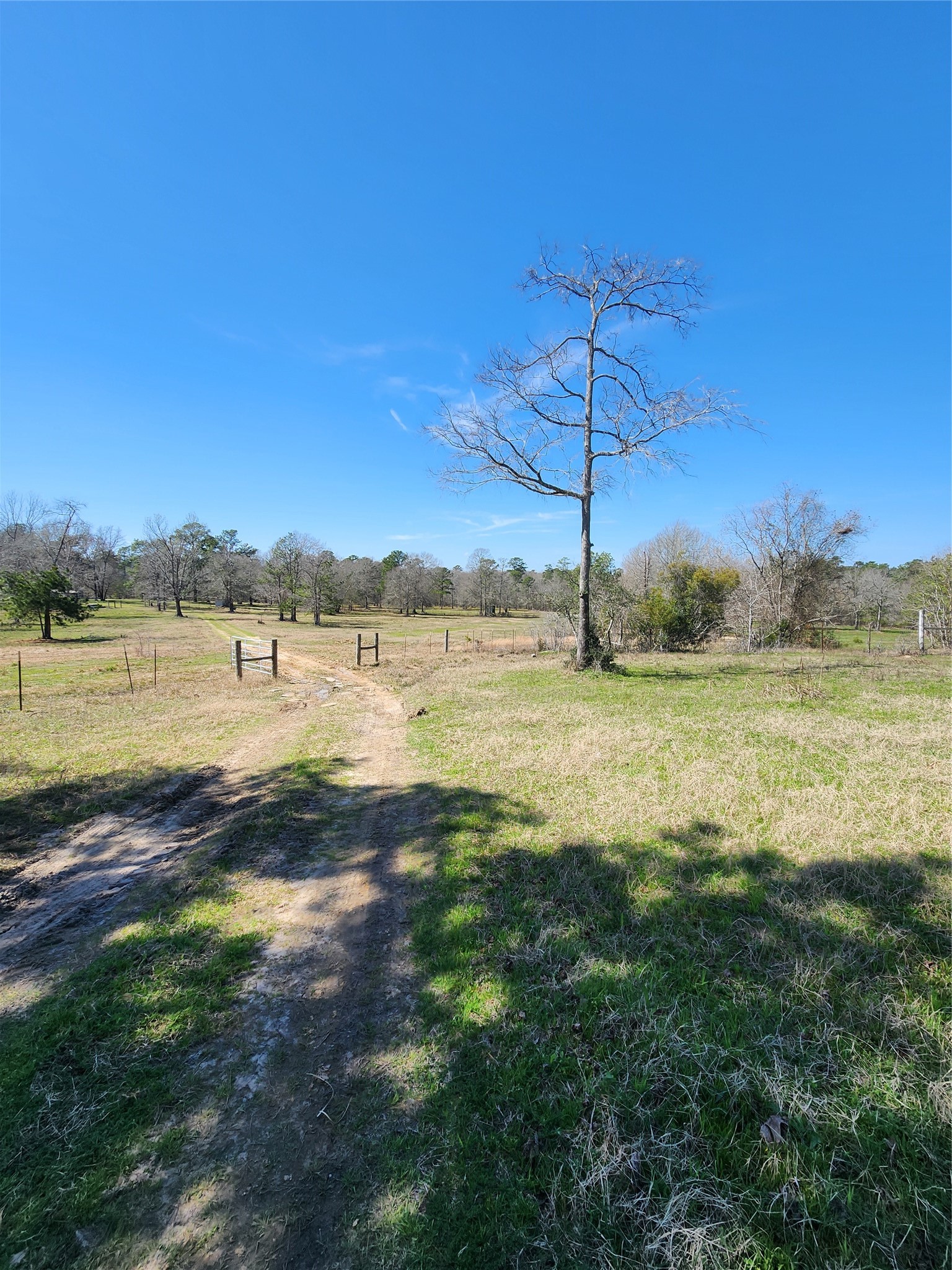 10994 Bilnoski Road Willis, TX 77378 - Photo 18 of 21 a view of a water pond with an ocean view
