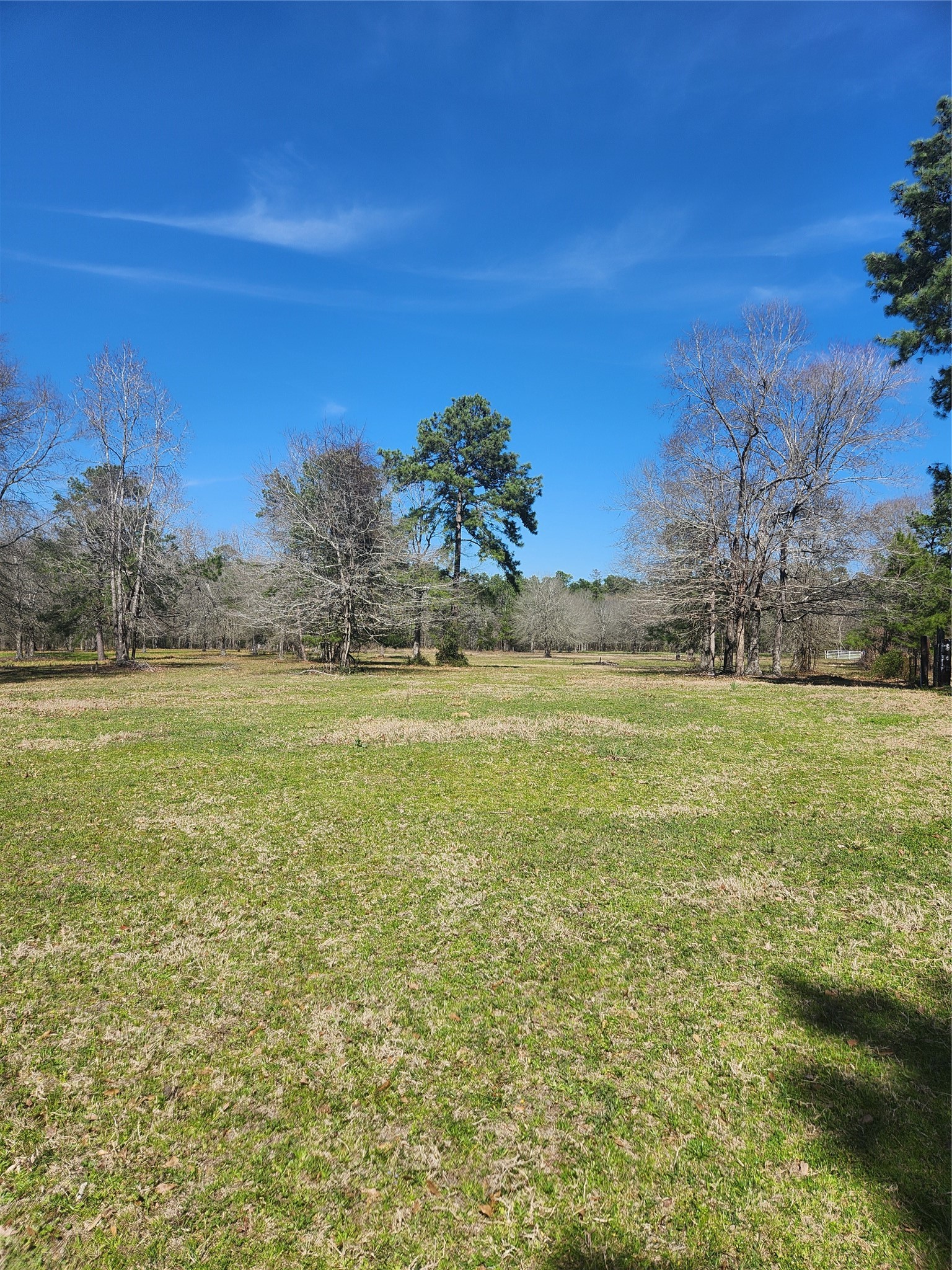 10994 Bilnoski Road Willis, TX 77378 - Photo 19 of 21 a view of a field with an ocean
