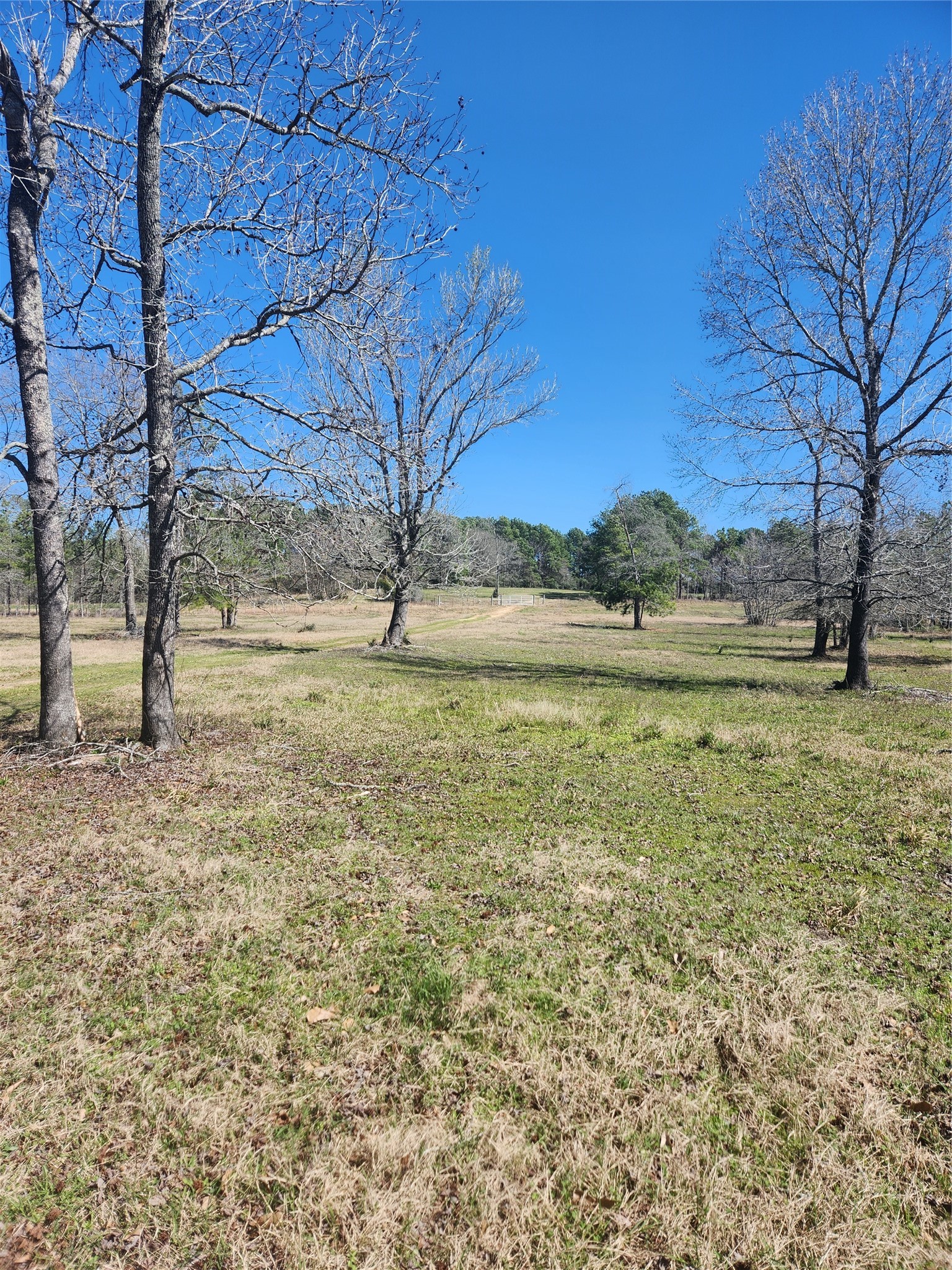10994 Bilnoski Road Willis, TX 77378 - Photo 20 of 21 a view of an outdoor space and a yard