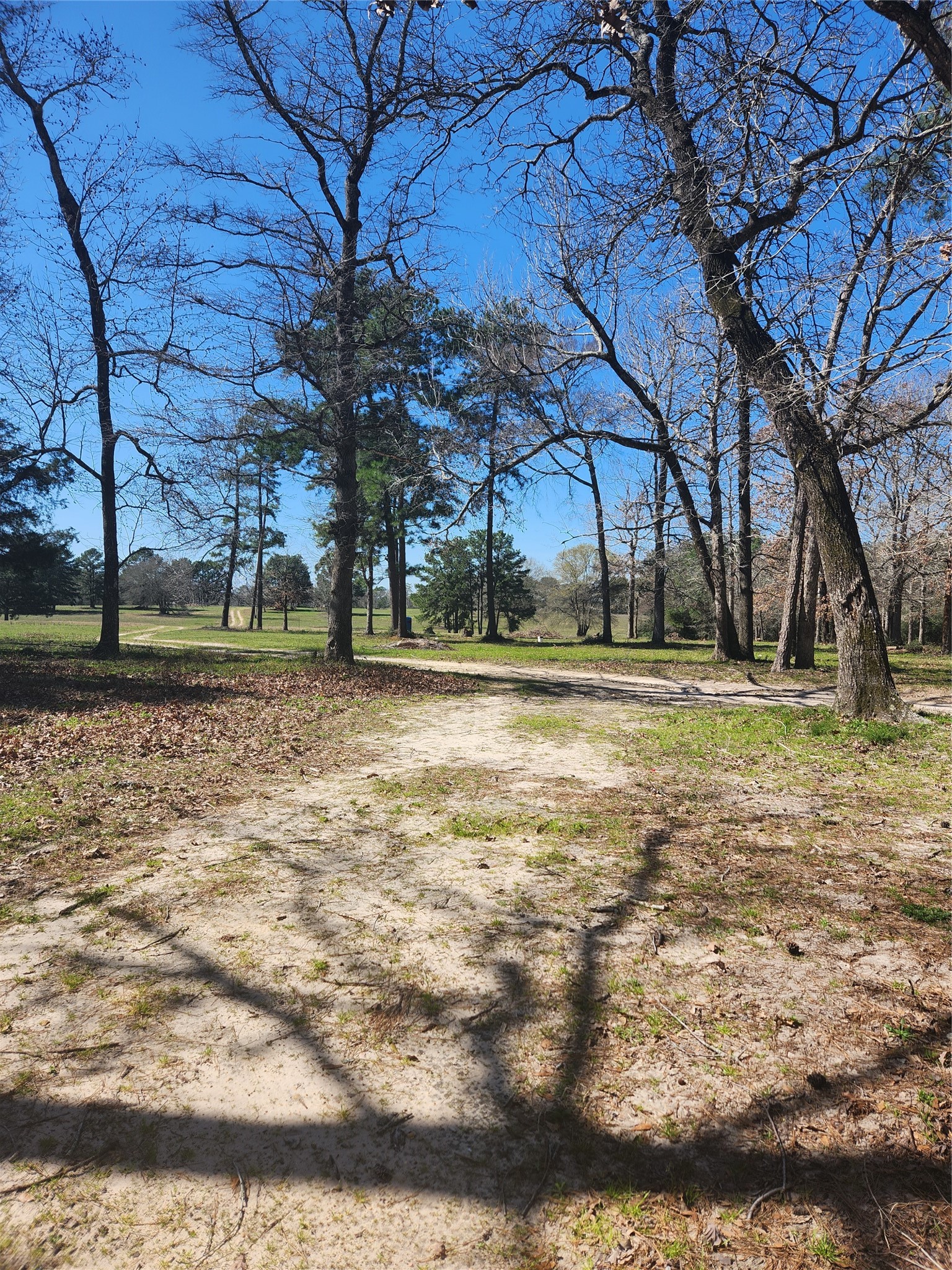 10994 Bilnoski Road Willis, TX 77378 - Photo 21 of 21 a backyard of apartments with large trees