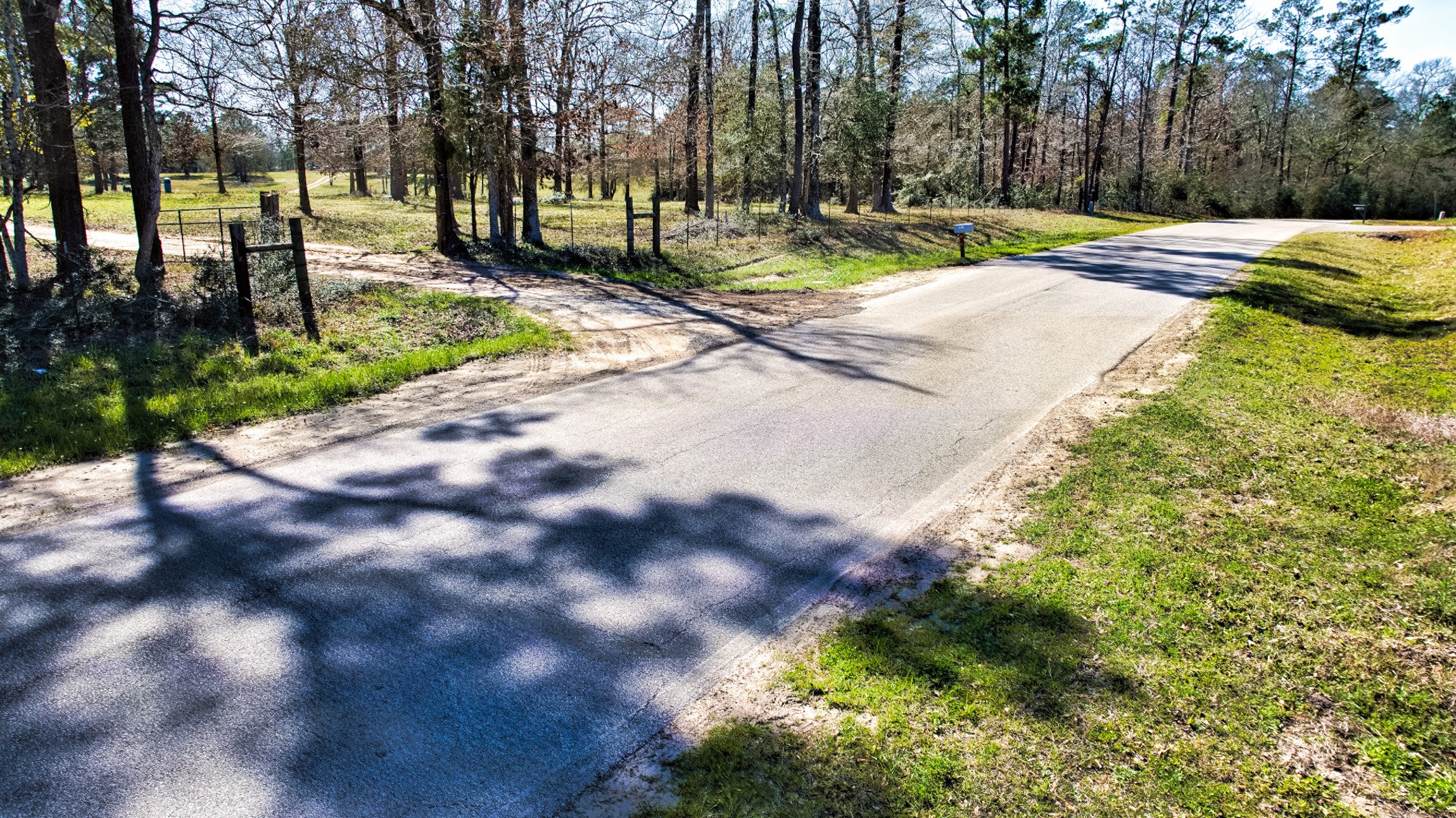 10994 Bilnoski Road Willis, TX 77378 - Photo 3 of 21 a park view with large trees