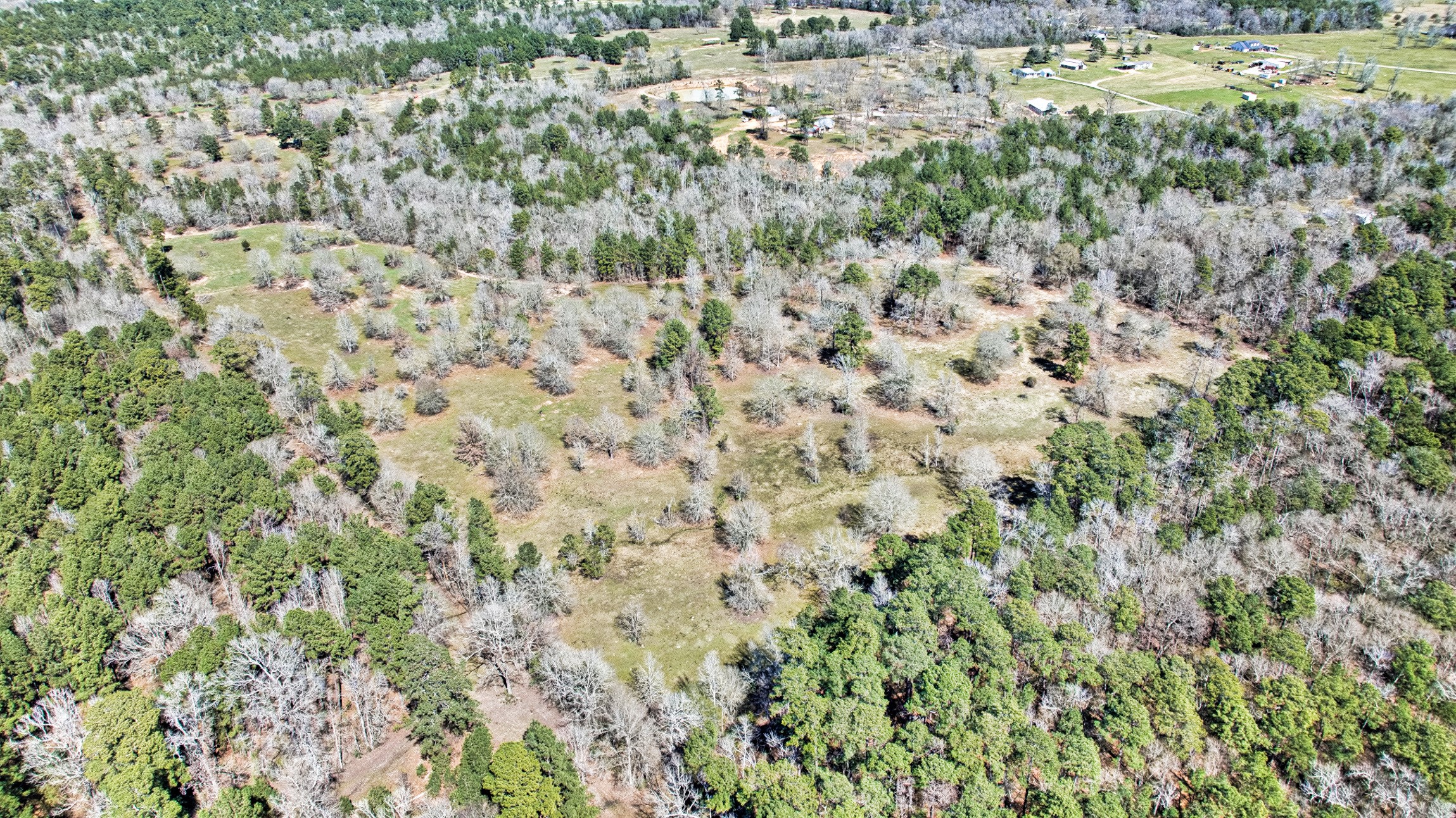 10994 Bilnoski Road Willis, TX 77378 - Photo 4 of 21 a view of a field