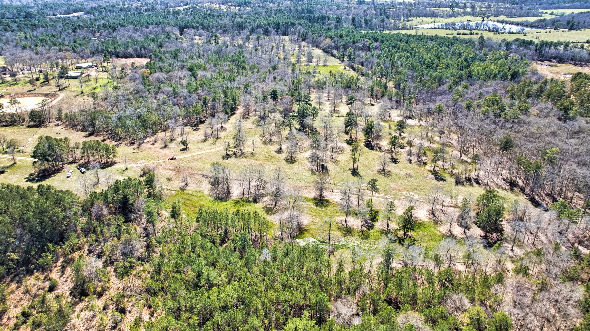 10994 Bilnoski Road Willis, TX 77378 - Photo 5 of 21 a view of aerial view of residential houses with outdoor space and trees