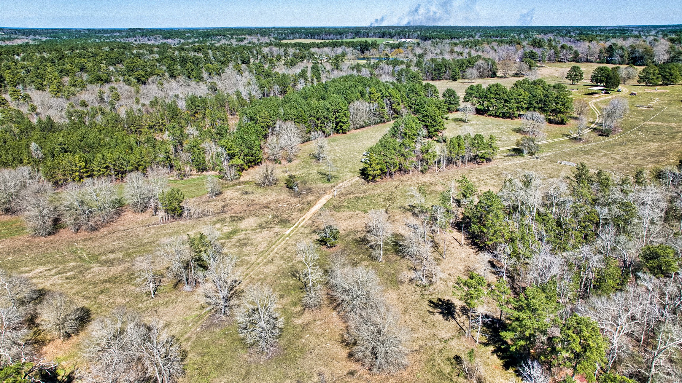 10994 Bilnoski Road Willis, TX 77378 - Photo 7 of 21 a view of a yard with a tree