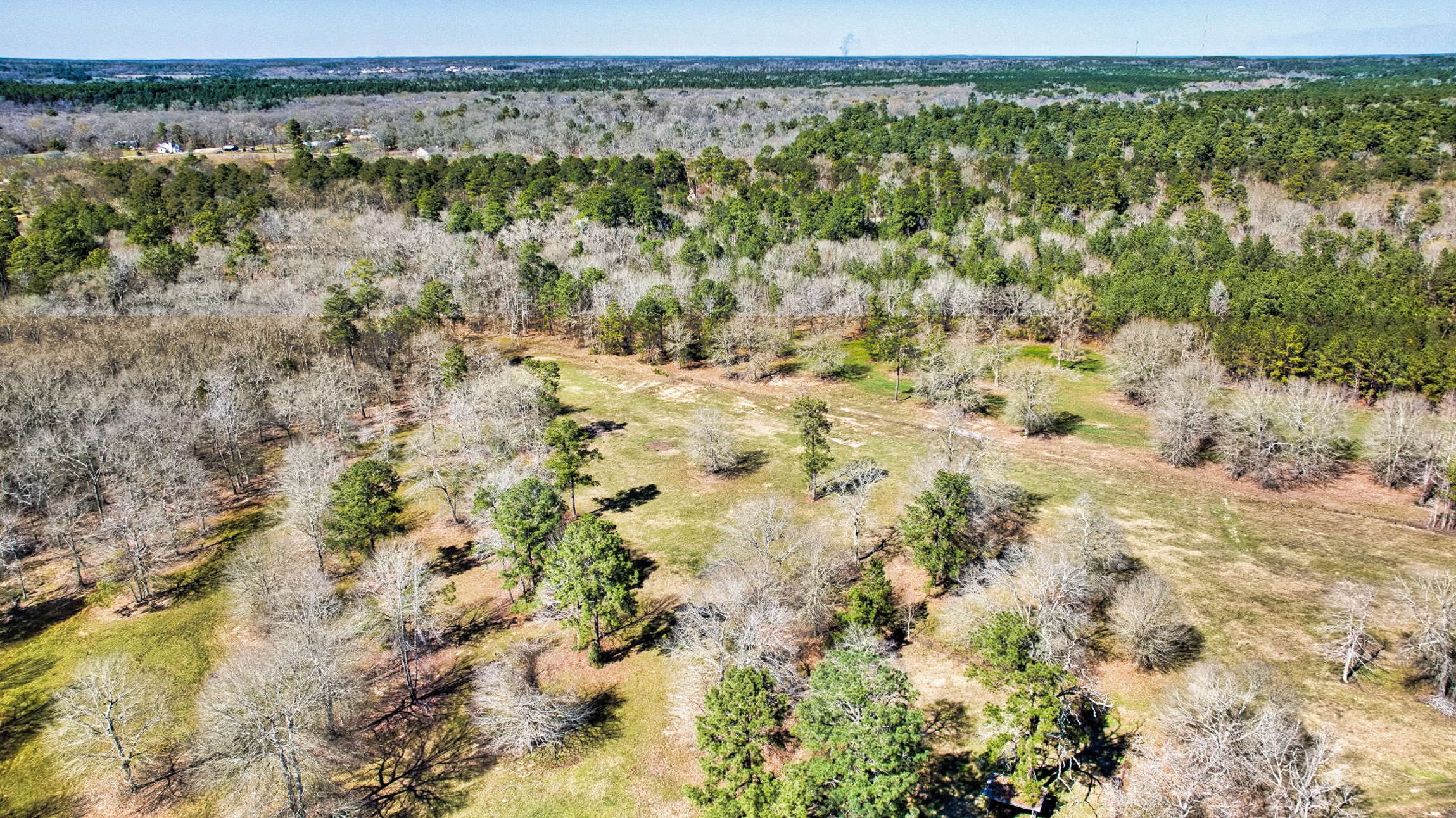 10994 Bilnoski Road Willis, TX 77378 - Photo 8 of 21 a view of a yard with a tree